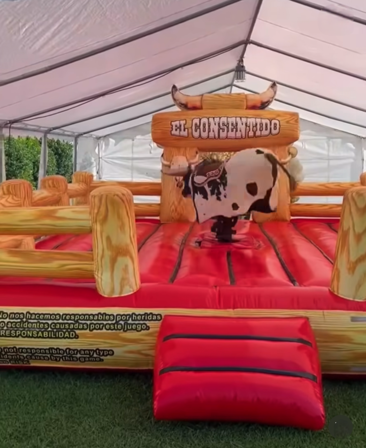 Mechanical bull